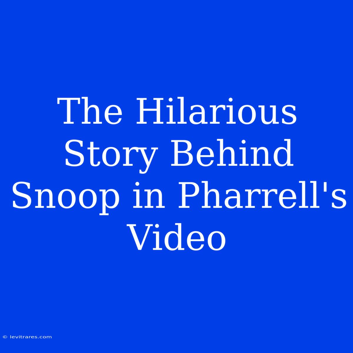 The Hilarious Story Behind Snoop In Pharrell's Video