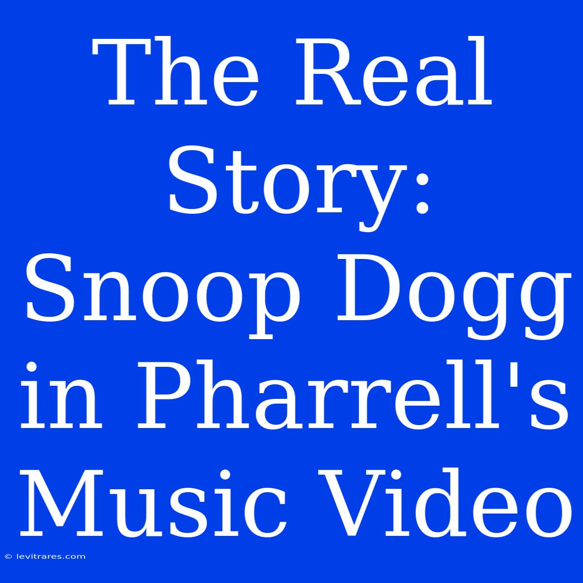 The Real Story: Snoop Dogg In Pharrell's Music Video