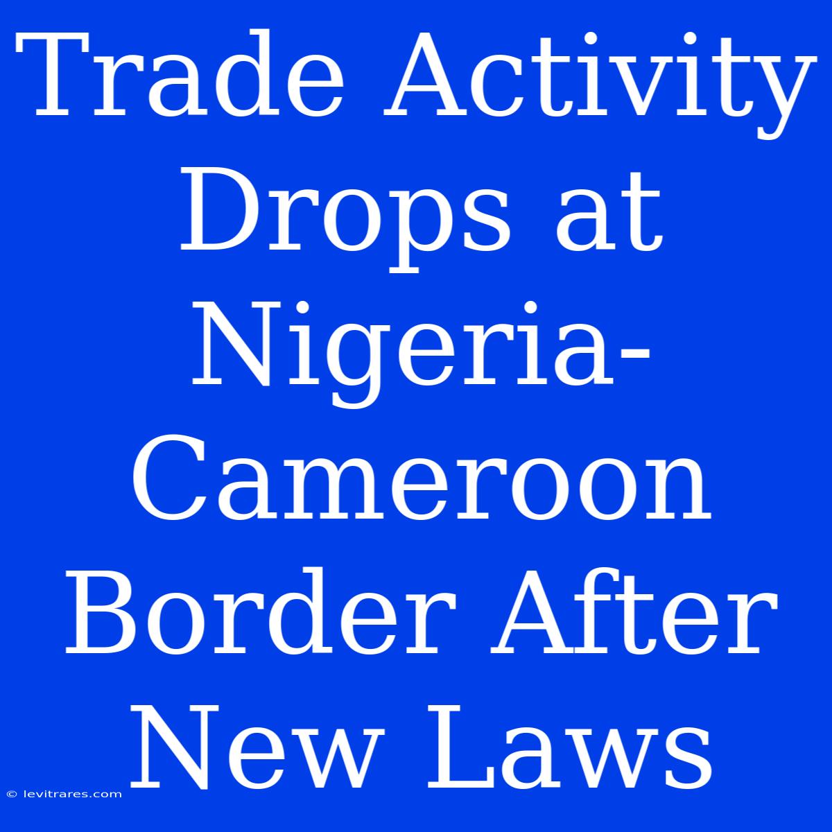 Trade Activity Drops At Nigeria-Cameroon Border After New Laws