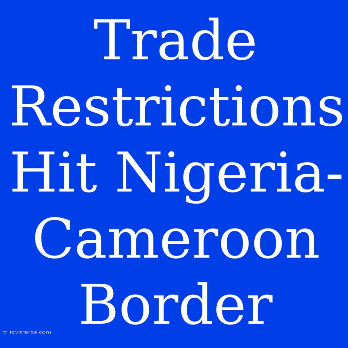 Trade Restrictions Hit Nigeria-Cameroon Border