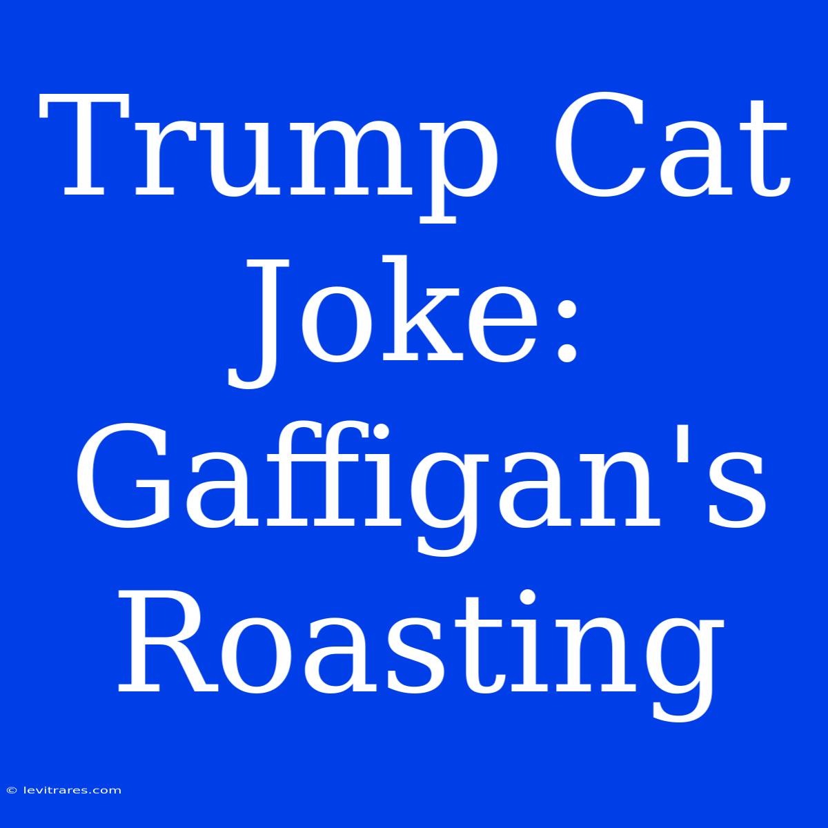 Trump Cat Joke: Gaffigan's Roasting