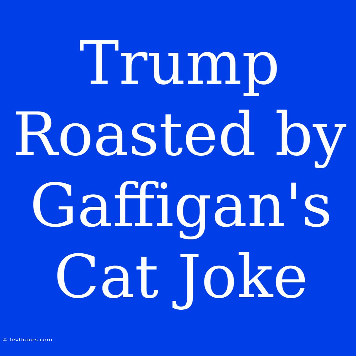 Trump Roasted By Gaffigan's Cat Joke