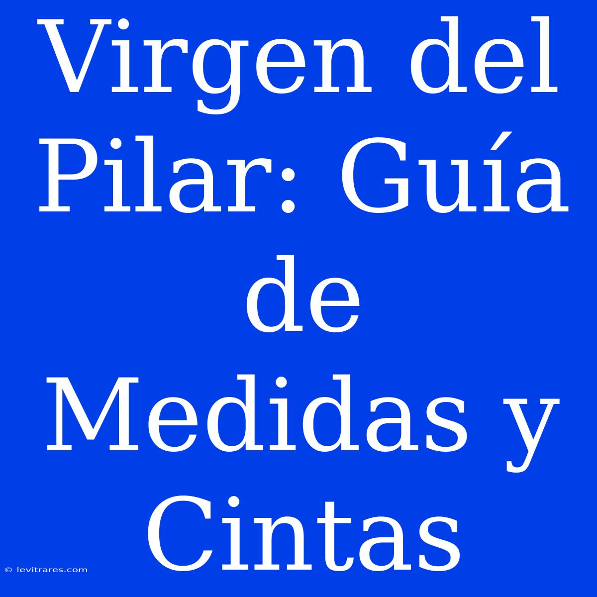 Virgen Del Pilar: Guía De Medidas Y Cintas