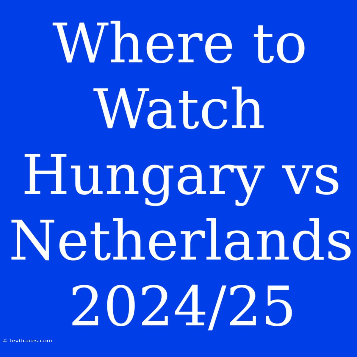 Where To Watch Hungary Vs Netherlands 2024/25