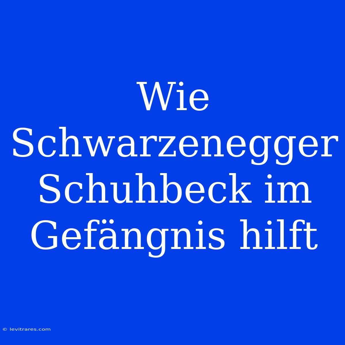 Wie Schwarzenegger Schuhbeck Im Gefängnis Hilft